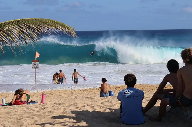Oahu Half-Day Scenic Tour with 7 Lookouts